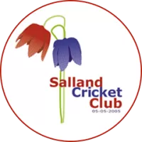 Salland Team Flag