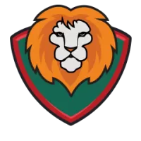 Himachal Pradesh Women Team Flag