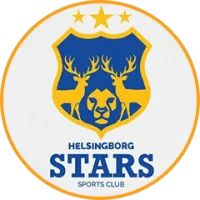 Helsingborg Stars Team Flag