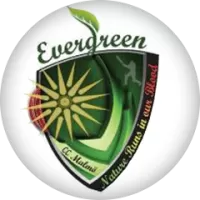 Evergreen Cricket Club Team Flag