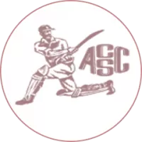 Alescon Comets Sc Team Flag