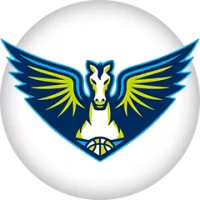 Dallas Wings Team Flag