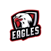 About Eagles Team