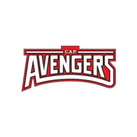 Avengers Team Flag
