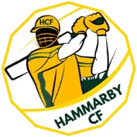 Hammarby Team Flag