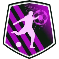 Dlg Team Flag