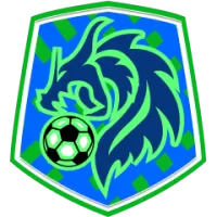Gc Team Flag