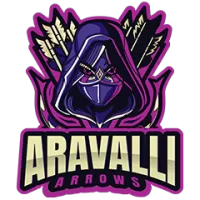 Aravalli Arrows Flag