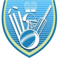 Plzen Guardians Team Flag