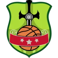 Metros Team Flag