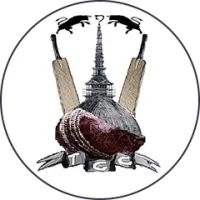Torino Team Flag