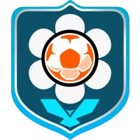 Colon Team Flag
