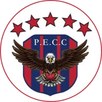 Pavia Eagles Team Flag