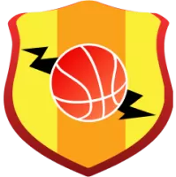 Southern Hoiho Team Flag