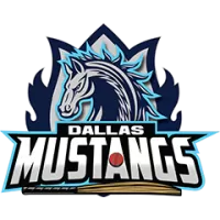 Dallas Mustangs Team Flag