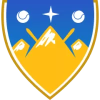 Lions Women Team Flag