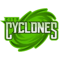 City Cyclones Team Flag