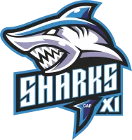 Sharks Xi Team Flag