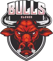 Bulls Xi Team Flag