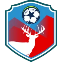 Istanbulspor Team Flag