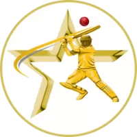 About Golden Star Team