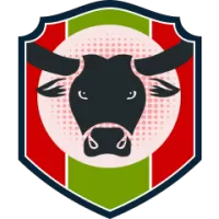 Plateros Team Flag
