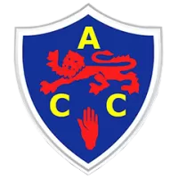 Antwerp Team Flag
