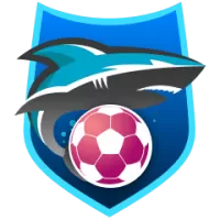 Umraniyespor Team Flag