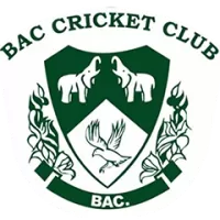 Bulawayo Athletic Club Team Flag