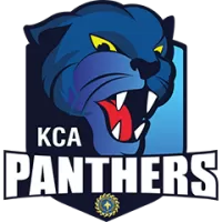 Panthers Team Flag