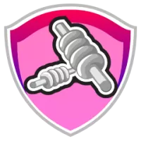 Biratnagar Titans Women Team Flag