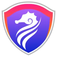 Lalitpur Falcons Team Flag