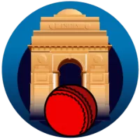 Delhi U19 Team Flag
