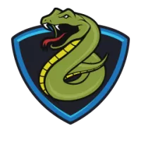Vidarbha U19 Team Flag