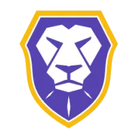 Brescia Team Flag