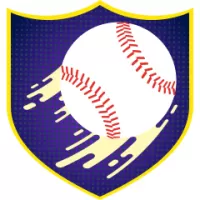 Geelong Korea Team Flag