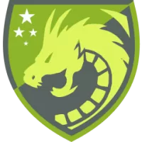 Tarnow Women Team Flag