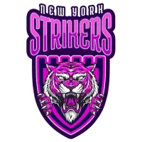 About New York Strikers Team
