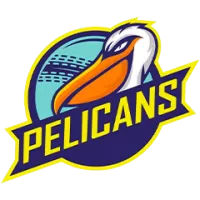 Pelicans Team Flag