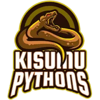 Kisumu Pythons Team Flag