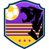 Cape Town City Team Flag