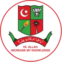 About New College Team