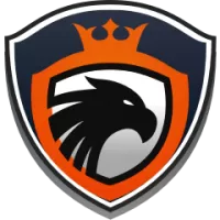 Desert Riders Team Flag