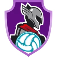 Calicut Heroes Team Flag