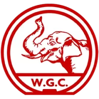 West Guwahati Club Team Flag