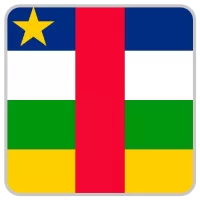 Central African Republic Team Flag