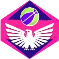 Illawara Hawks Women Team Flag