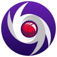 Hobart Hurricanes Flag