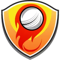 Heat Stormers Team Flag