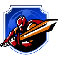 Metropolitanos Team Flag